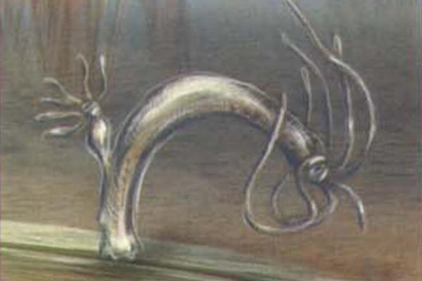 Kra29.cc